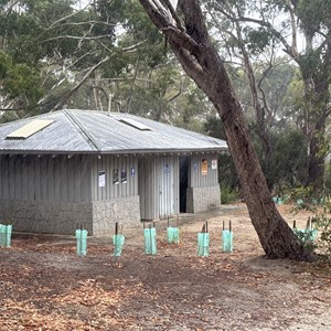 Leanganook Camping Area (Koala Camp)