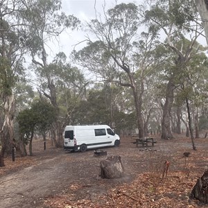 Leanganook Camping Area (Koala Camp)