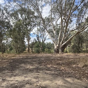 Perts River Reserve