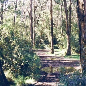 west bridge reserve