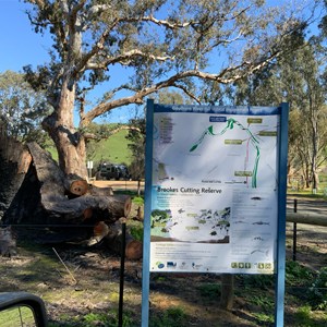 Brooks River Reserve
