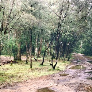 burnt bridge camp