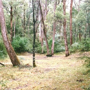 Bulldock Flat camp