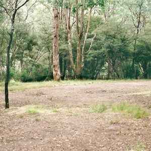 Taponga Rv camp