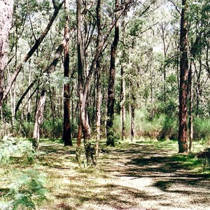 Blue Hole bush camps