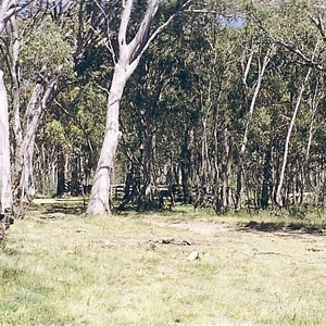 Secluded clearing, Tamboitha Saddle