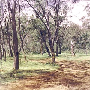 bumpy track into camp