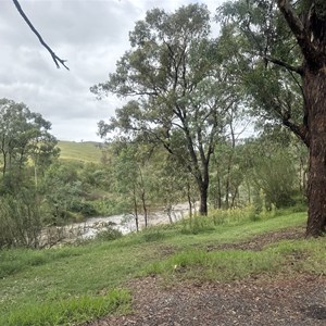 Ensay South Rest Area