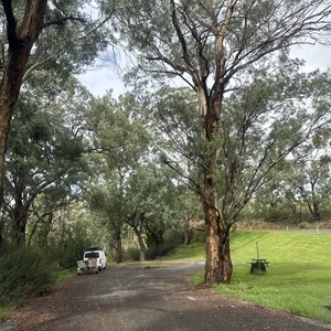 Ensay South Rest Area