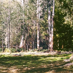 The Gap Reserve