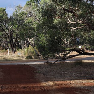 Freshwater Lake Reserve