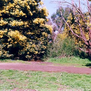 Yarra Glen Reserve