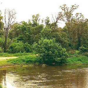 Everard Park water point