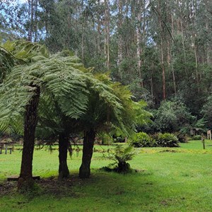 Starlings Gap Campground