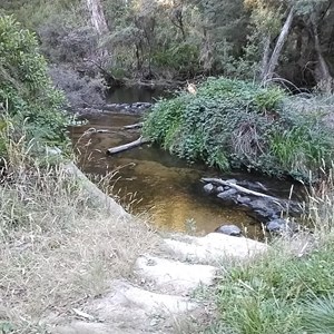 McClelland Bush Camp
