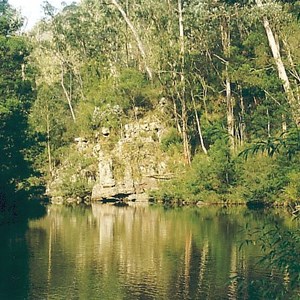 paddy lees crossing