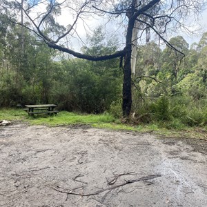 Bemm Rv Bush Camp
