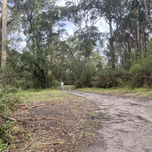 Bemm Rv Bush Camp