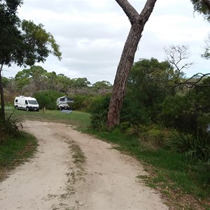 Forest Camp North Campground