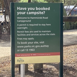 Hammonds Creek Camp