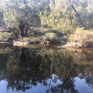 Tony’s bend camp