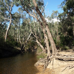 Tony's Bend Campground