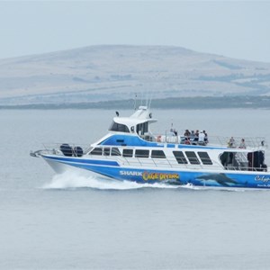 Tour Boat - Dive with the Great White Sharks