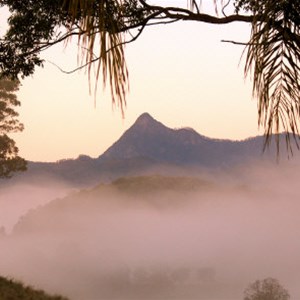 Mt Warning seen from Hillcrest