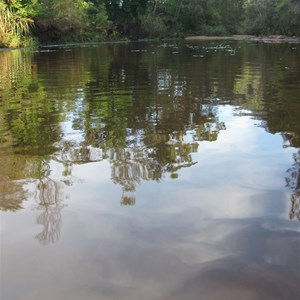 Fresh Water tidal Creek - Webbs Creek