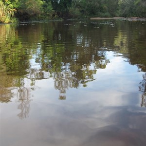 Fresh Water tidal Creek - Webbs Creek