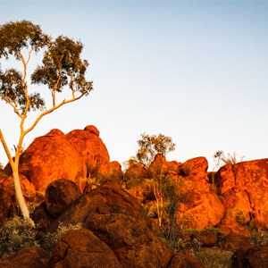 Tower Rock- Mac & Rose Chalmers Conservation Reserve