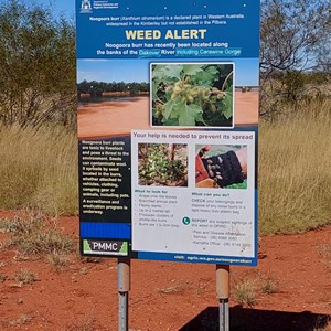 Carawine Gorge Access (off Woodie Woodie Rd)