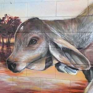 Burke & Wills Roadhouse