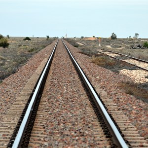 Trans Continental Railway Line - Watson