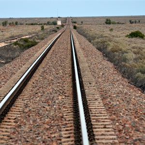 Trans Continental Railway Line - Watson