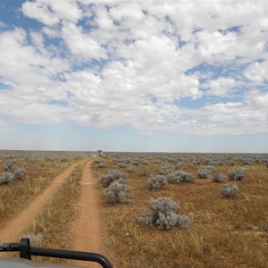 Caravan Track Maralinga to Cook