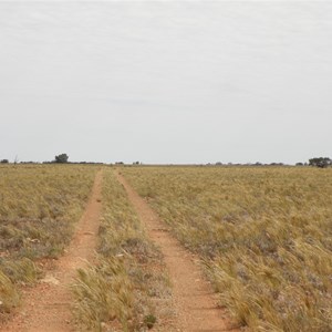 Caravan Track Maralinga to Cook