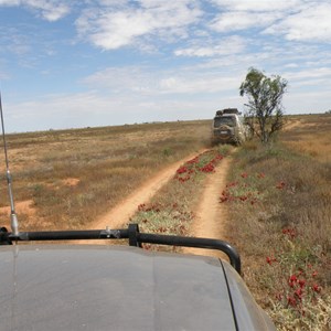 Caravan Track Maralinga to Cook