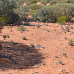 Old Daisy Bates Camp remains