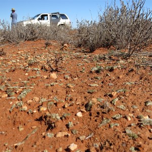 Green trinitite in-situ