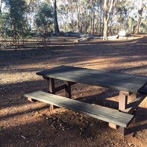 LOL Gray Tree & Picnic Area