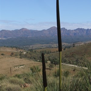 Xanthia at Huck's Lookout