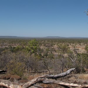 Across the savanna