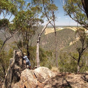 View west to limestone quarry