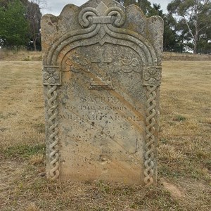 William Carroll, aged 35, 1855