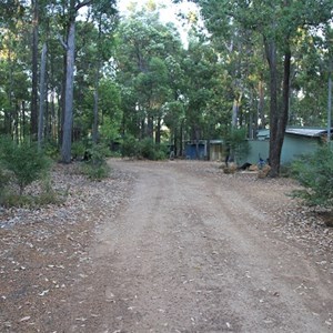 Natural Looking Park amongst the Trees