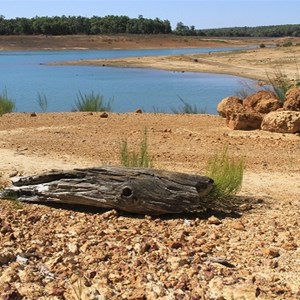 From the Edge of Forrest to Lake Brockman