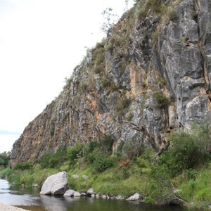 Bluff Reserve and its ancient coral reefs