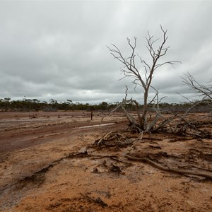 Salt Crusted Road March 2019