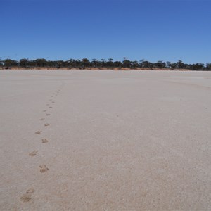 Footsteps from campground to lookout